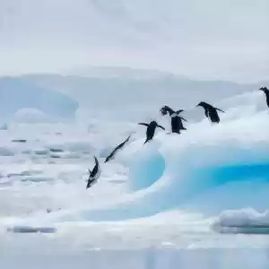 جنوبگان؛ صلح‌آمیزترین قاره‌ی جهان