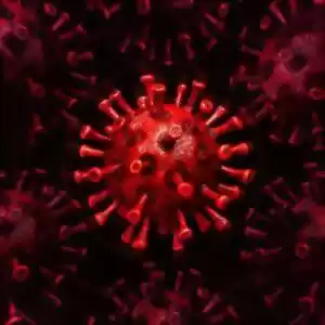 شاخص بارز کرونا ویروس؛ بهبود سریع‌تر، مصونیت طولانی‌تر