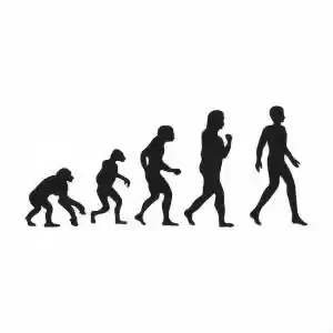 تکامل، تصادفی نیست!