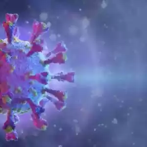 کشف هزاران ویروس جدید در بدن انسان