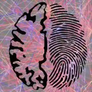 مغز به اندازه‌ی اثر انگشت منحصربه‌فرد است!
