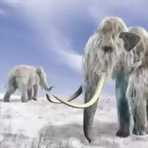 حیوانات نخستین چگونه در عصر یخبندان زنده می‌ماندند؟