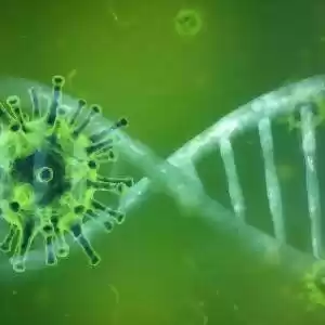 سیستم ایمنی بدن چگونه کرونا ویروس جدید را هدف قرار می‌دهد؟