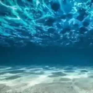 کف اقیانوس در حال غرق شدن است.