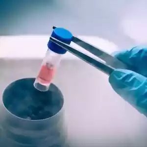 تاثیر مهندسی سلول‌ها بر درمان سرطان
