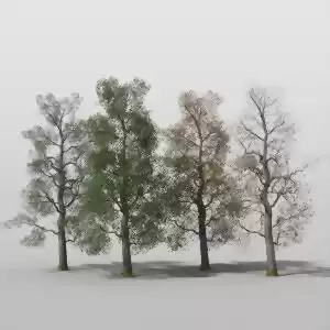 سهم درختان در آلوده کردن هوا!