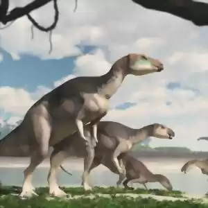 کشف گونه‌ی جدیدی از دایناسورهای گیاهخوار