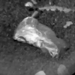 کنجکاوی درباره‌ی سنگ مرموز مریخی