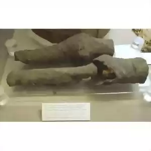 اسرار پای مومیایی شده‌ی «نِفِرتاری»، ملکه‌ی مصر 