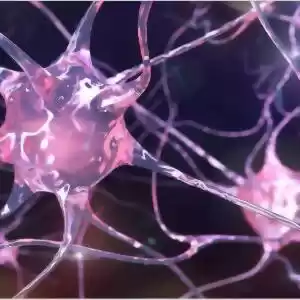 چگونه سلول‌های مغز دی‌ان‌ای خود را ترمیم می‌کنند؟
