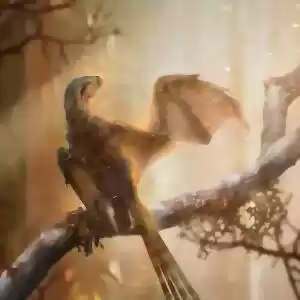 کشف دایناسوری با بال‌هایی عجیب