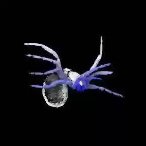 کشف فسیلی ۳۰۵ میلیون ساله از عنکبوت‌های اولیه
