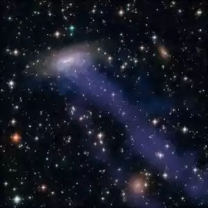 مشاهده‌ی سیاهچاله‌های غول‌پیکر با رصد عروس‌دریایی