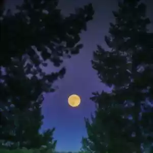 آیا ماه بر روی خواب انسان تاثیری دارد؟