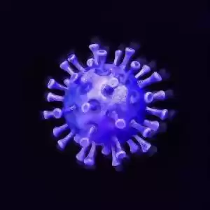 چند نوع کرونا ویروس وجود دارد؟