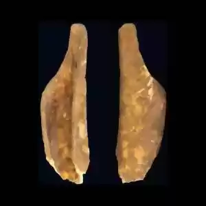 کشف ابزار سنگی باستانی در آسیا