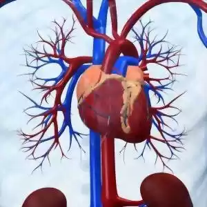 خطر استفاده از فلزات سمی برای قلب