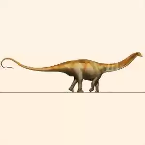 گونه‌ی جدیدی از دایناسورهای گردن‌دراز