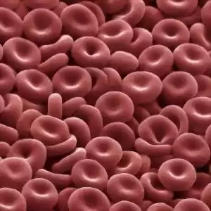 ساخت گلبول‌های قرمز خون در آزمایشگاه