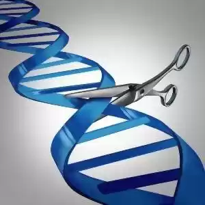 امکان انجام دقیق‌تر ویرایش ژن‌ها
