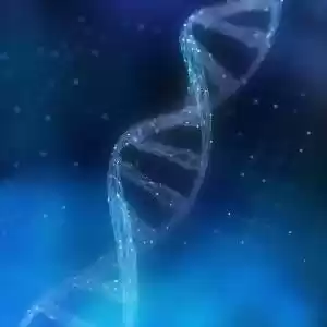 ژن انسان می‌تواند زمان مرگش را تعیین کند.