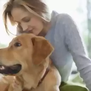رابطه‌ی احساسی سگ‌های خانگی با صاحبان‌شان