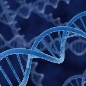 محققان تنوع ژنتیکی مؤثر در قد انسان را کشف کردند