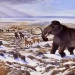 چه چیزی باعث انقراض حیوانات در عصر یخبندان شد؟