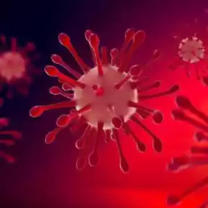 آیا امکان دارد کرونا ویروس خودش را از بین ببرد؟