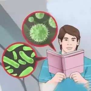 تفاوت ویروس با باکتری چیست؟
