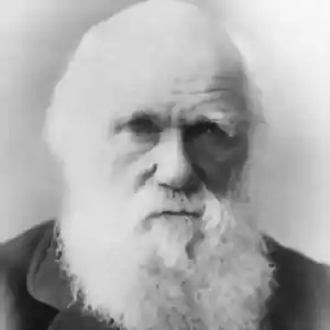 قوت گرفتن نظریه‌ی «فسیل‌های زنده» داروین