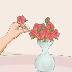 چطور در گلدان گل بچینیم؟
