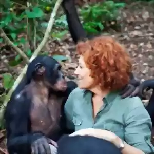 شامپانزه‌ها، عموزاده‌های باهوش ما