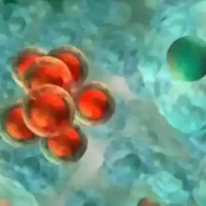 ساخت ویروسی برای مقابله با سرطان