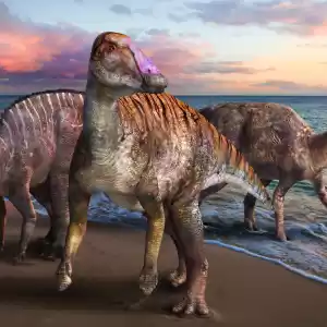 کشف یک دایناسور ۷۶ میلیون‌ساله‌ی مومیایی شده