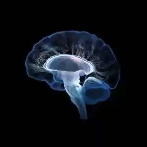 شناسایی ژن‌های برگشت‌پذیری آسیب‌های مغزی