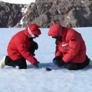کشف شهاب‌سنگ‌هایی خارق‌العاده در جنوبگان