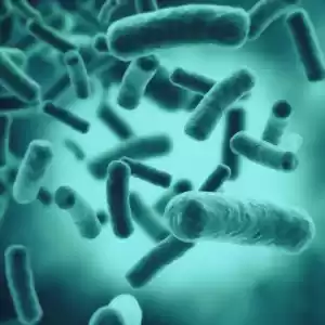 چگونه باکتری‌ها به آنتی‌بیوتیک مقاوم می‌شوند؟